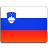 Slovenia Flag Icon 48x48 png