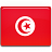 Tunisia Flag Icon 48x48 png