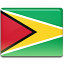 Guyana Flag Icon 64x64 png