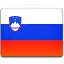 Slovenia Flag Icon 64x64 png
