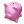 Piggy Bank Icon 24x24 png