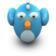 Twitting En Face Icon 80x80 png