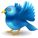 Fly Away Twitter Icon 128x128 png