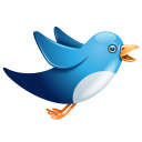 Twitter Blue Birdie Icon 128x128 png