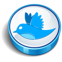 Twitter Blue Cooky Icon 128x128 png