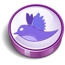 Twitter Purple Cooky Icon