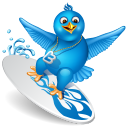 Twitter Surfer Icon 128x128 png