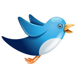 Twitter Blue Birdie Icon 256x256 png