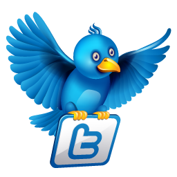 Twitter Blue News Icon 256x256 png
