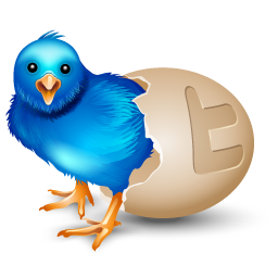 Twitter Egg Icon 256x256 png