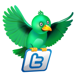 Twitter Green News Icon 256x256 png