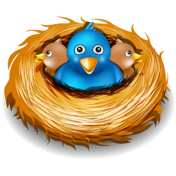 Twitter Nest Icon 256x256 png