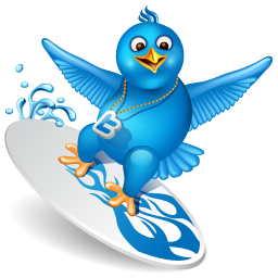 Twitter Surfer Icon 256x256 png