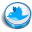 Twitter Blue Cooky Icon 32x32 png