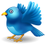 Fly Away Twitter Icon 64x64 png