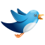 Twitter Blue Birdie Icon 64x64 png