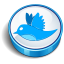 Twitter Blue Cooky Icon 64x64 png