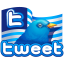 Twitter Flag Icon 64x64 png