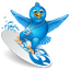 Twitter Surfer Icon 64x64 png