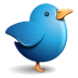 Twitter Blue Bird Icon 72x72 png