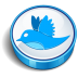 Twitter Blue Cooky Icon 72x72 png