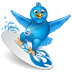 Twitter Surfer Icon 72x72 png