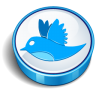 Twitter Blue Cooky Icon 96x96 png