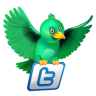 Twitter Green News Icon 96x96 png