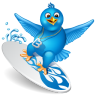 Twitter Surfer Icon 96x96 png