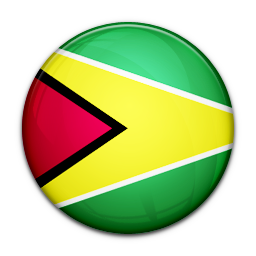 Flag Of Guyana Icon - World Flags Orbs Icons - SoftIcons.com