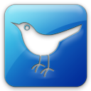 Twitter Bird 2 Square Icon
