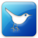 Twitter Bird 3 Square Icon
