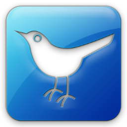 Twitter Bird 2 Square Icon 256x256 png