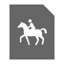 Horse Rider Icon