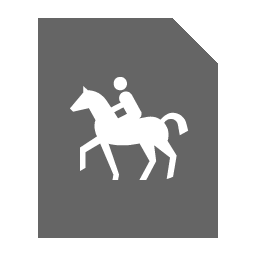 Horse Rider Icon 256x256 png