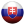 SK Icon 24x24 png