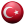 TR Icon 24x24 png