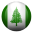 NF Icon 32x32 png