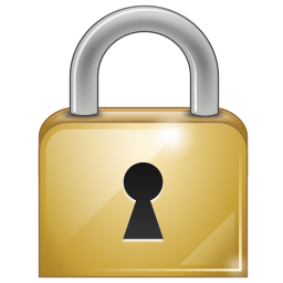 Secure Server Icon 256x256 png