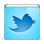 Social Twitter Bird Icon