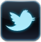 Twitter Icon 59x60 png