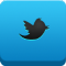 Twitter Icon 60x60 png