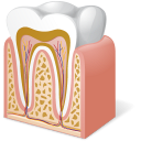 Tooth Anatomy Icon 128x128 png
