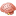 Brain Icon 16x16 png