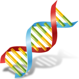 DNA Icon 256x256 png