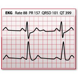 EKG Icon 256x256 png