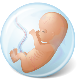 Embryo Icon 256x256 png
