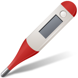 Medical Thermometer Red Icon 256x256 png