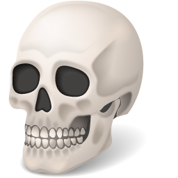 Skull Icon 256x256 png