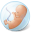 Embryo Icon 32x32 png